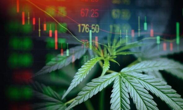 3 Best Cannabis Stocks: Will They Fly High Again Post Trump Schedule III?