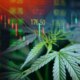 3 Best Cannabis Stocks: Will They Fly High Again Post Trump Schedule III?