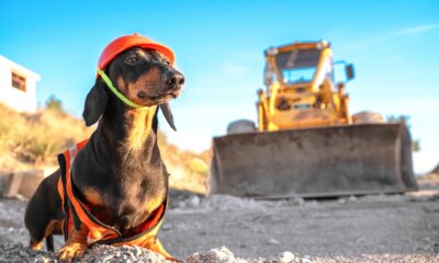 NXG: Infrastructure Income, Beware The Premium