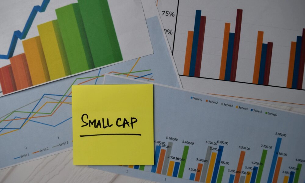 VTWV: Lack Of Profitability Filter Is A Concern