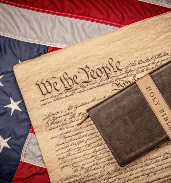 Palantir: Liberty Will Never Perish