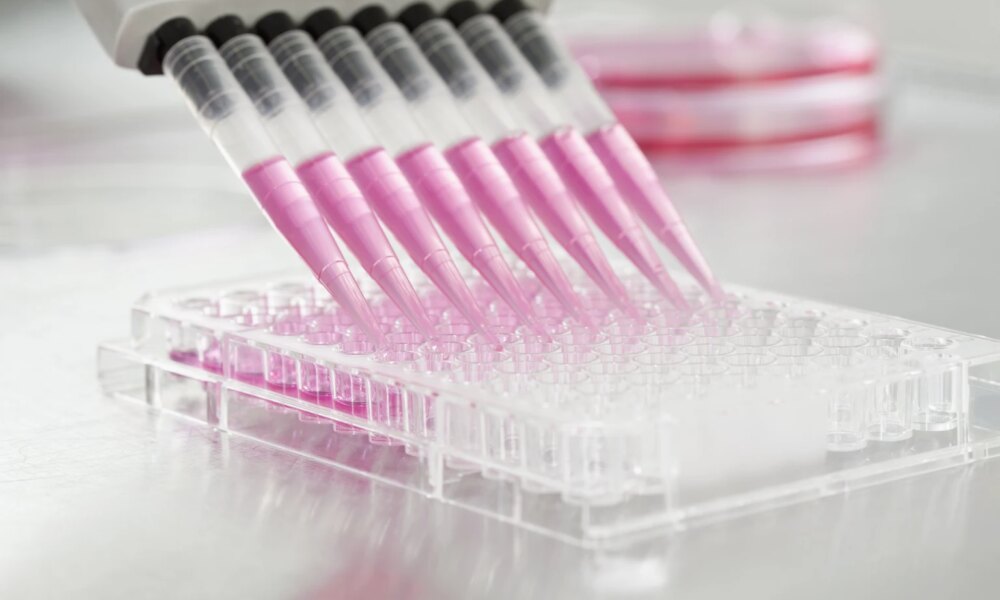 Immuneering: Clinical Catalyst In January, Cash Raised For Phase 3