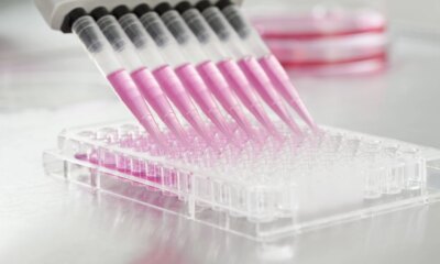 Immuneering: Clinical Catalyst In January, Cash Raised For Phase 3