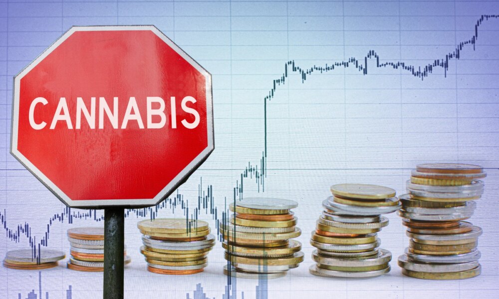 Investment to cannabis. Stop sign on graph and coins background.
