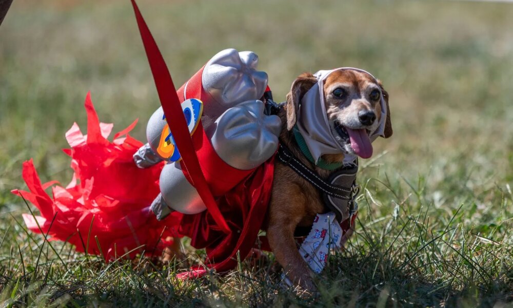 XOVR: Too Little Private Exposure To Matter (Downgrade)