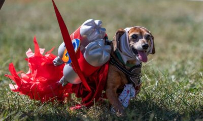 XOVR: Too Little Private Exposure To Matter (Downgrade)