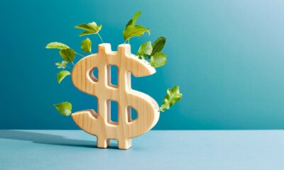 Electrovaya Stock: Profits Are Here And A 2X Is More Realistic (NASDAQ:ELVA)