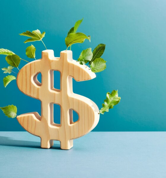 Electrovaya Stock: Profits Are Here And A 2X Is More Realistic (NASDAQ:ELVA)