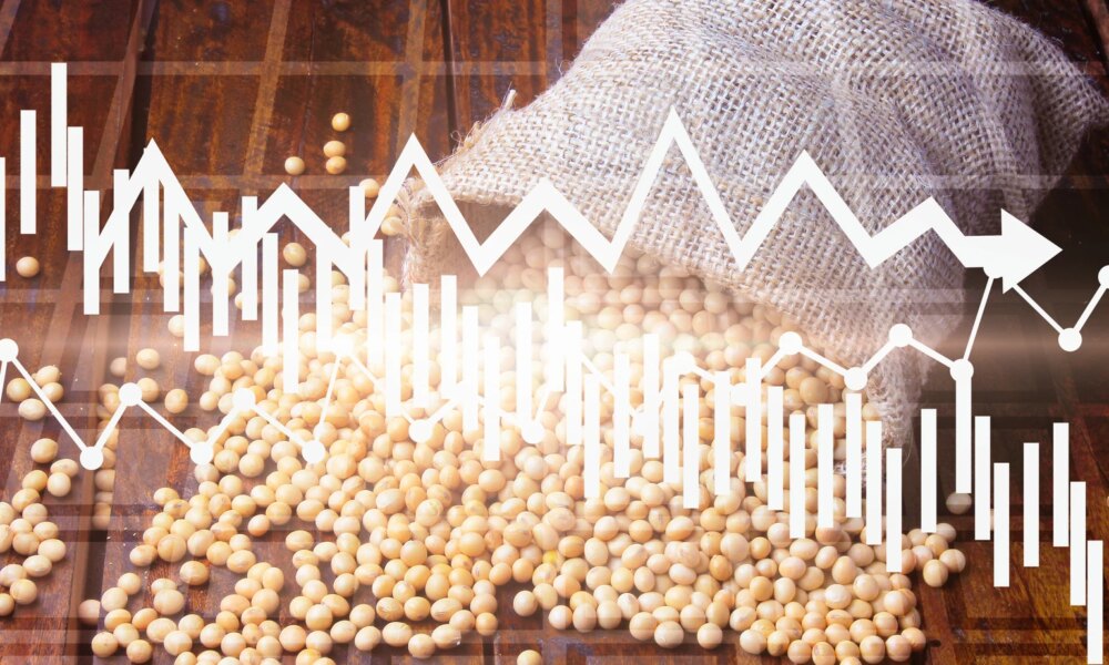 Tighter Times Ahead For The Soybean Market (NYSEARCA:SOYB)