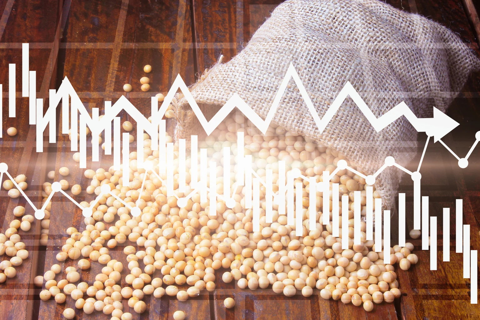 Tighter Times Ahead For The Soybean Market (NYSEARCA:SOYB)