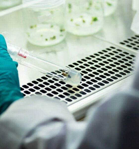 ArriVent BioPharma: A De-Risked Binary With Near-Term Catalysts (NASDAQ:AVBP)