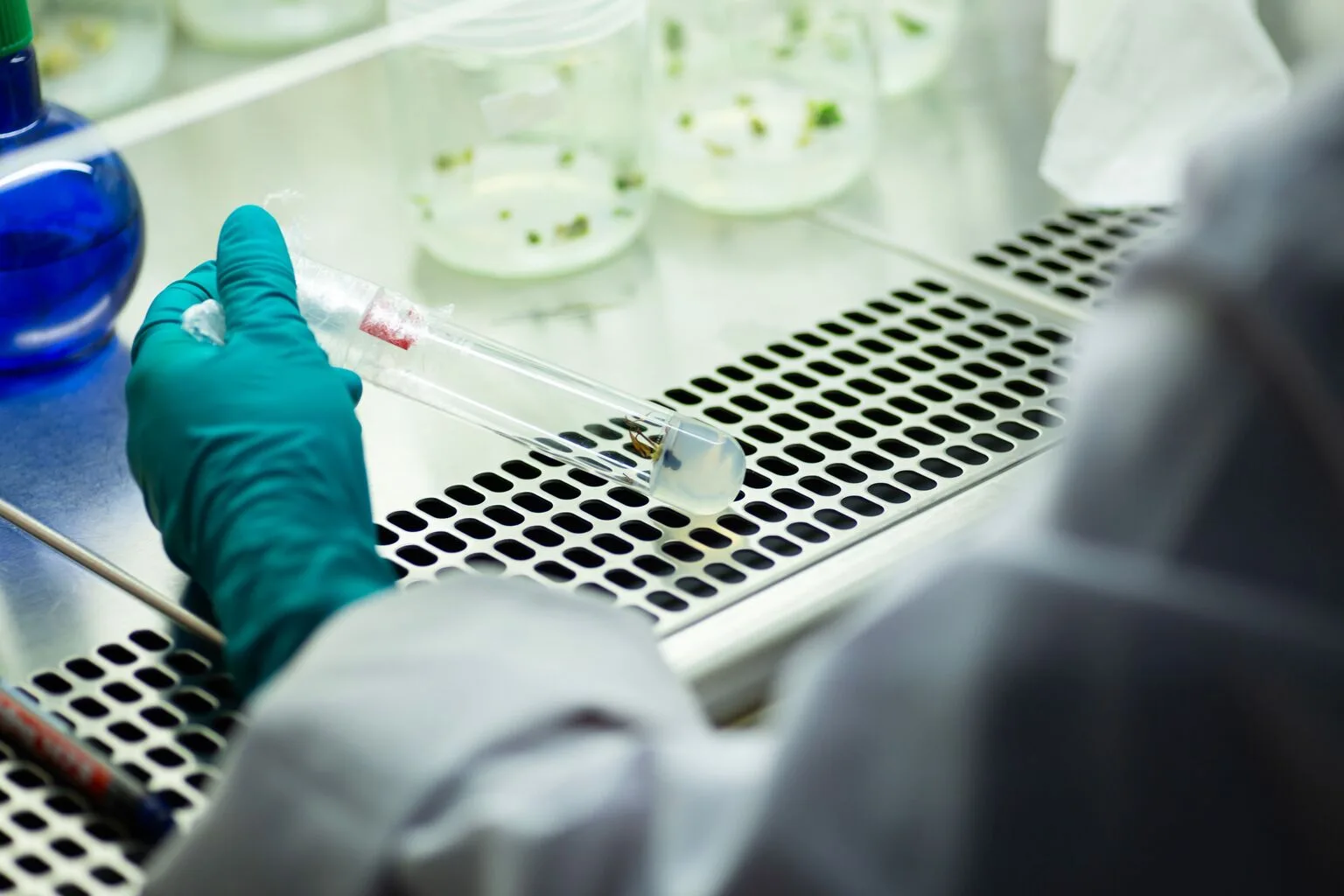 ArriVent BioPharma: A De-Risked Binary With Near-Term Catalysts (NASDAQ:AVBP)