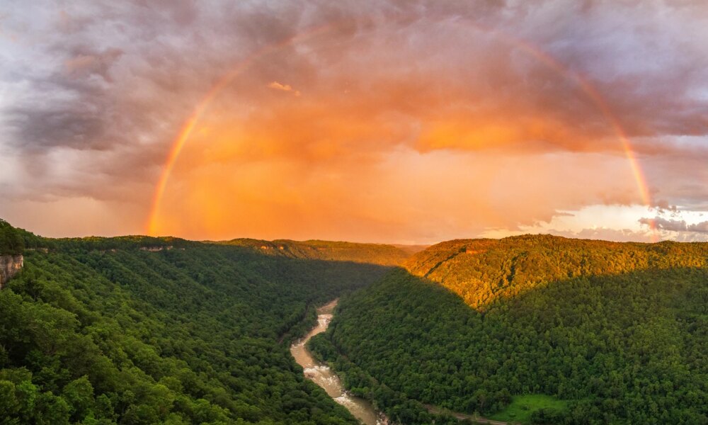 Dividend Stocks Worth Betting On For The 2026 Income Supercycle