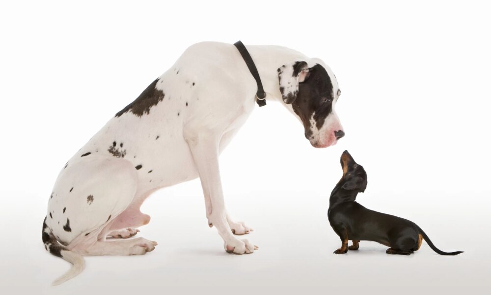 ULTY, Meet ULTI, Your Newest Competitor