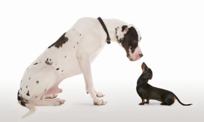 ULTY, Meet ULTI, Your Newest Competitor