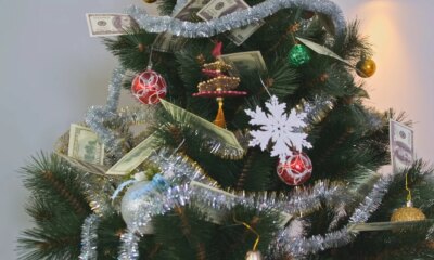 Build Your +8% Income Tree: The 3-Step Plan For Monthly Cash Flow