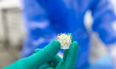 The Edwards Lifesciences Dilemma Persists: Strong Growth Potential, High Price (NYSE:EW)