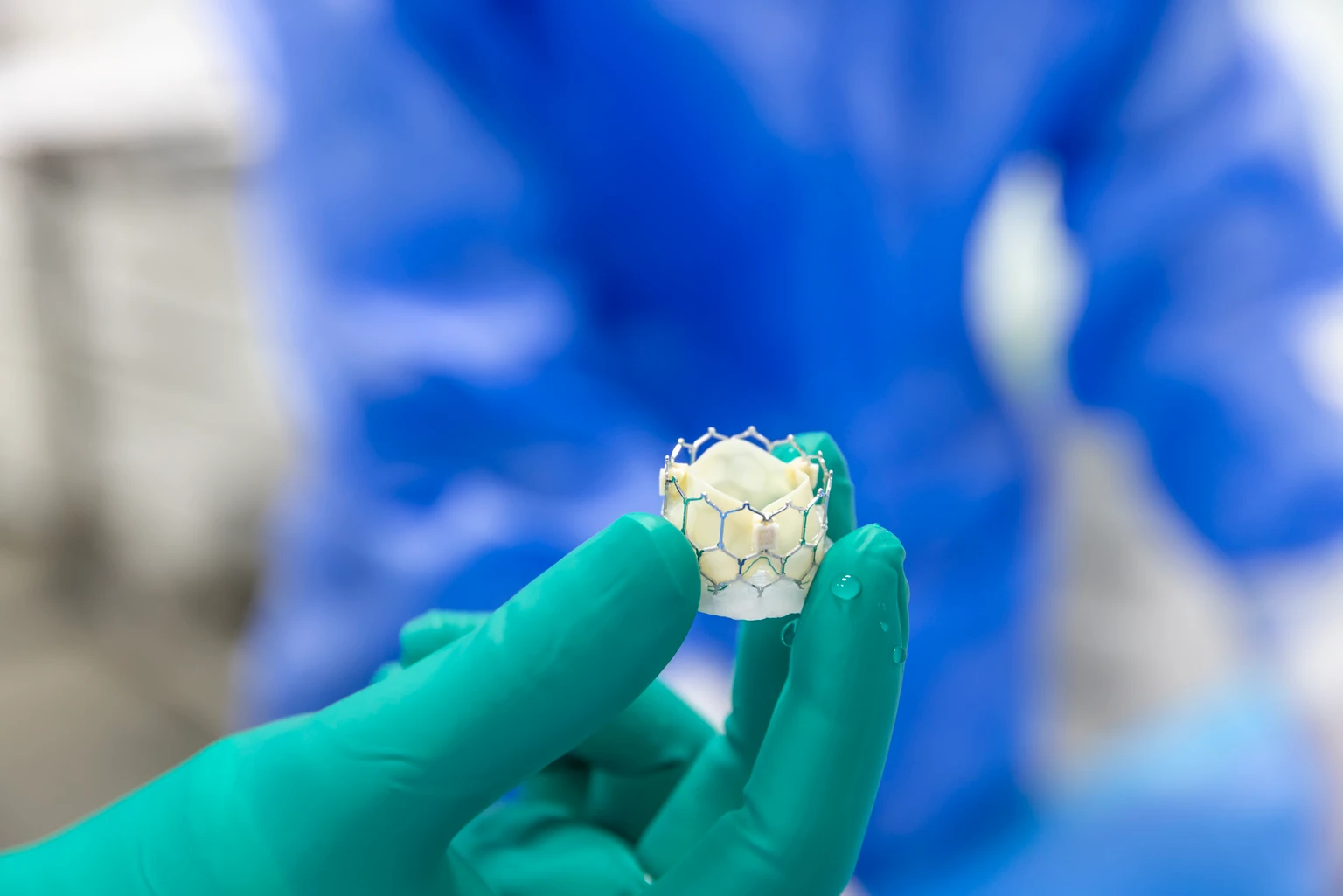 The Edwards Lifesciences Dilemma Persists: Strong Growth Potential, High Price (NYSE:EW)