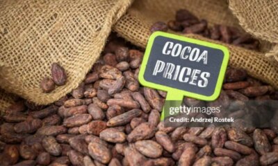 Cocoa Outlook 2026: Prices Could Rise On Supply Constraints. (Commodity:CC1:COM)