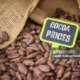 Cocoa Outlook 2026: Prices Could Rise On Supply Constraints. (Commodity:CC1:COM)