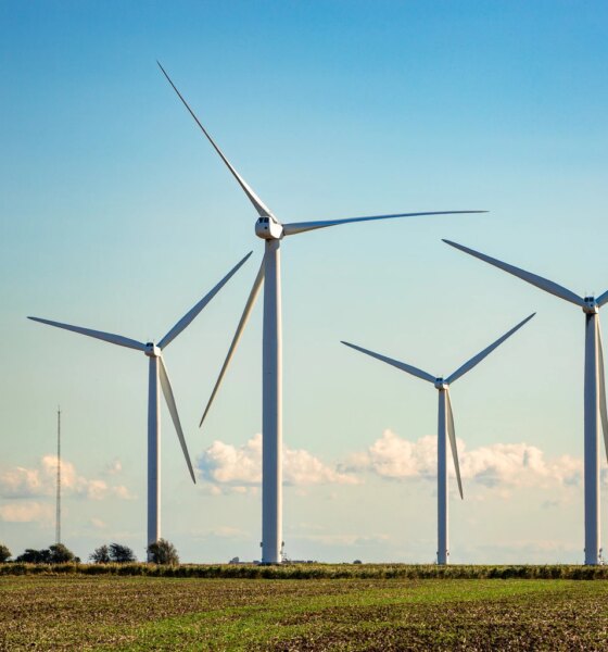 FAN: Understanding The Structure And Suitability Of This Wind Power ETF (NYSEARCA:FAN)