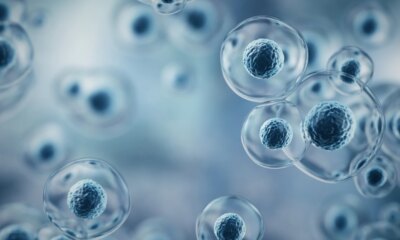 Immatics Stock: PRAME Leader’s Transition To Commercial Reality (NASDAQ:IMTX)