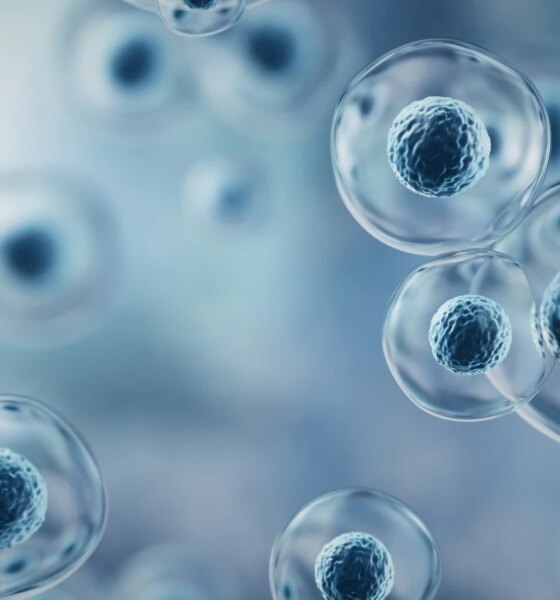 Immatics Stock: PRAME Leader’s Transition To Commercial Reality (NASDAQ:IMTX)