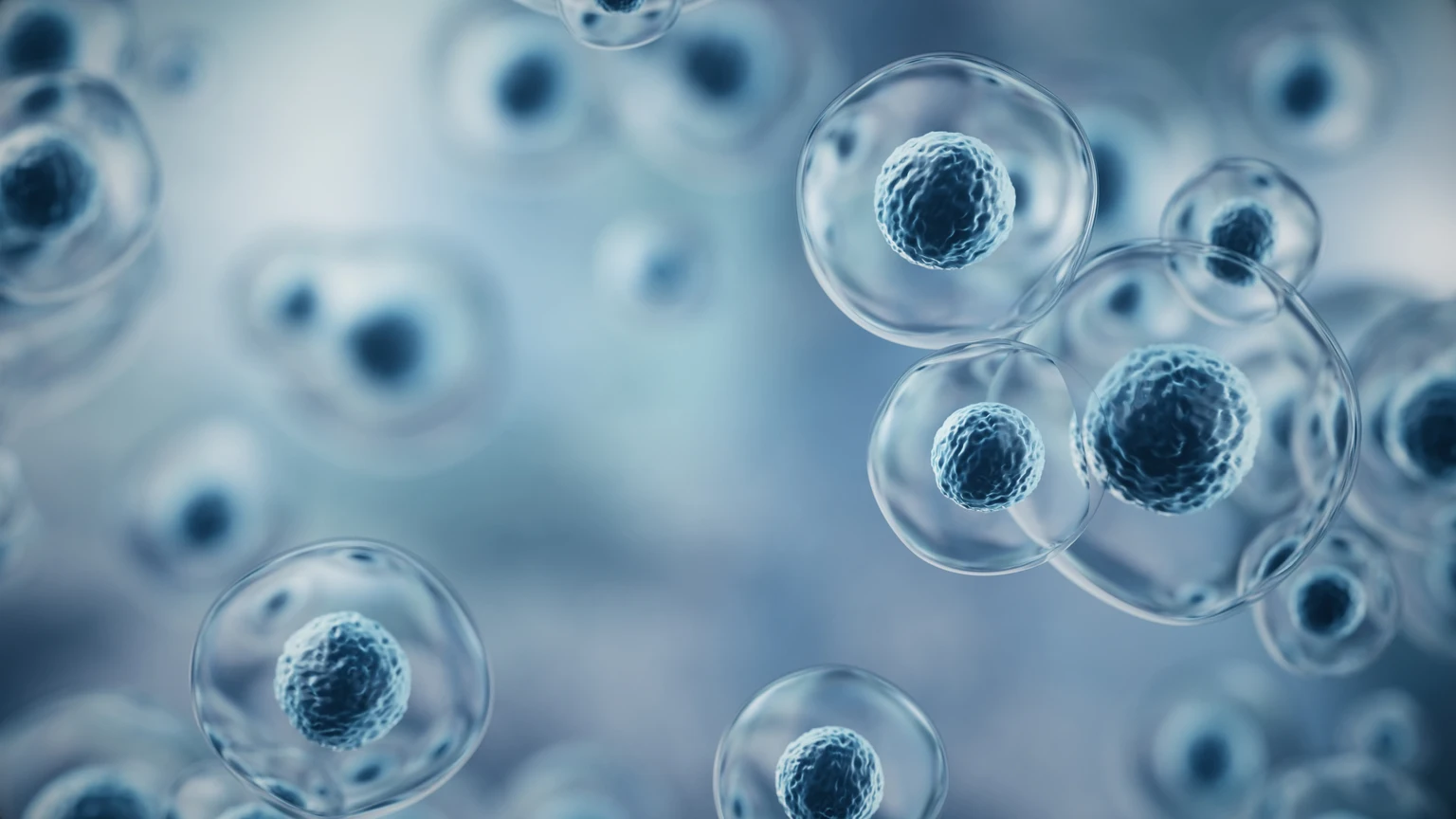 Immatics Stock: PRAME Leader’s Transition To Commercial Reality (NASDAQ:IMTX)