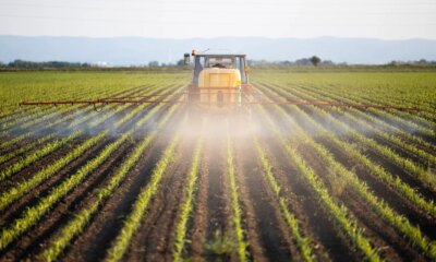 Nutrien: At A Pivotal Moment I Plan On Capitalizing On