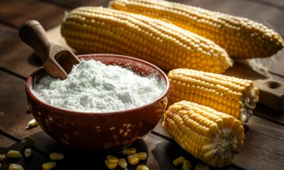 Archer-Daniels-Midland: Too Much Policy Risk For A Low-Margin Dividend King