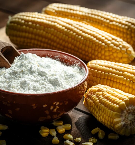 Archer-Daniels-Midland: Too Much Policy Risk For A Low-Margin Dividend King