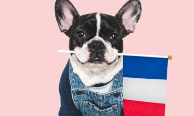 IDVO: I Say 'Oui' To This International Covered Call Fund