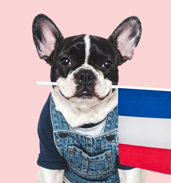 IDVO: I Say 'Oui' To This International Covered Call Fund