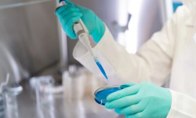 Edgewise: Maintaining Buy On Part D EDG-7500 Data And Next Q2 2026 Catalyst (NASDAQ:EWTX)