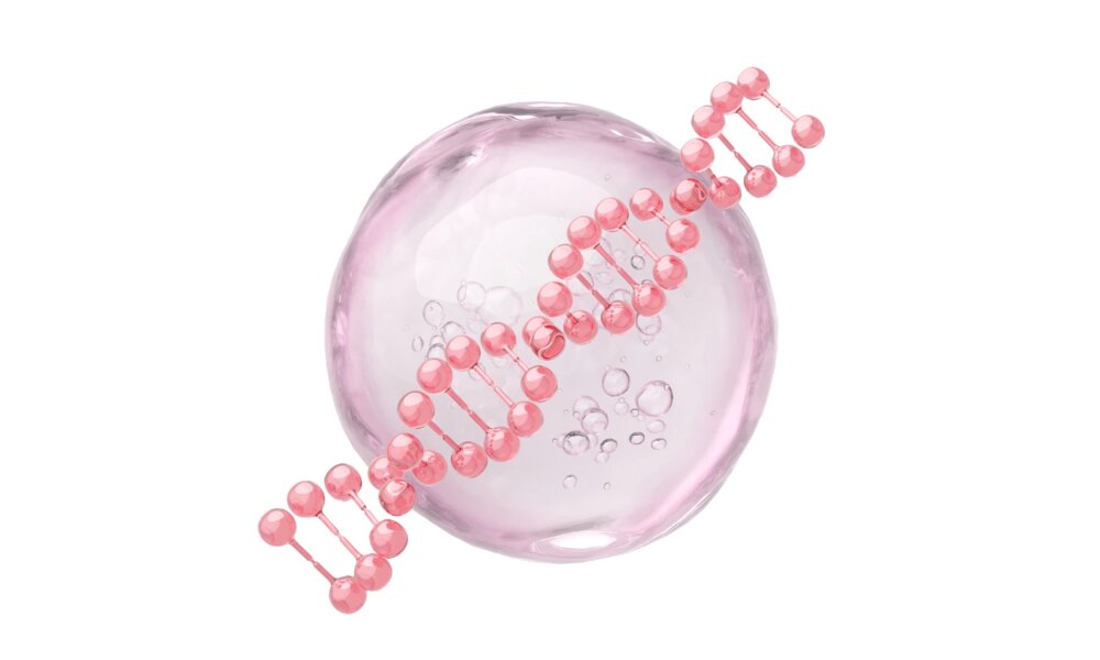 AbbVie: Increased Outlook For 2025 And Expansions Merit Continued "Strong Buy" Rating