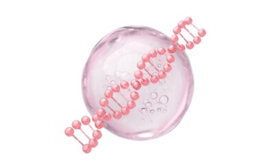 AbbVie: Increased Outlook For 2025 And Expansions Merit Continued "Strong Buy" Rating