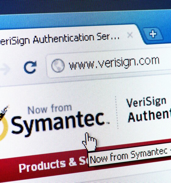 Verisign: The Anchor Of Most Online Web Domains