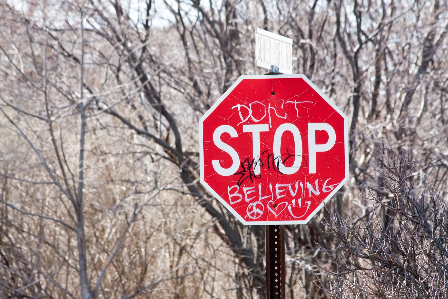 Iovance Biotherapeutics: Bright Prospects For 2026