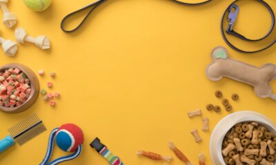 Chewy: Priced For Perfection While Competition Heats Up