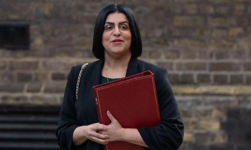 Home Sec Shabana Mahmood 'could slash 43 constabularies to 12 mega-police forces' in largest shake-up in decades