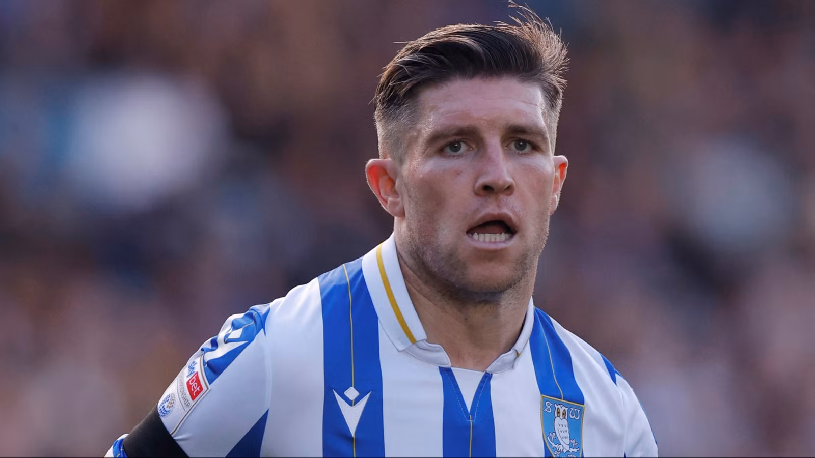 Rangers line up a transfer for Rohl who'd be a better signing than Windass