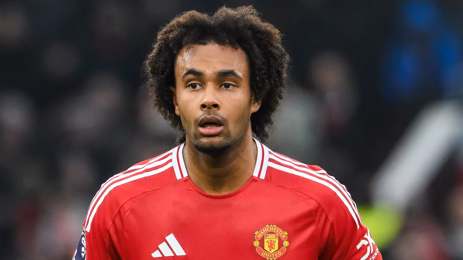 Man Utd in Contact With Roma Over Joshua Zirkzee and Evan Ndicka Swap Deal