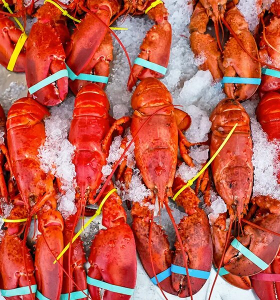 Costco-bound $400,000 lobster delivery hijacked before reaching destinations