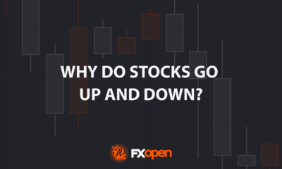 Why Do Stocks Go Up and Down?
