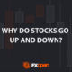Why Do Stocks Go Up and Down?