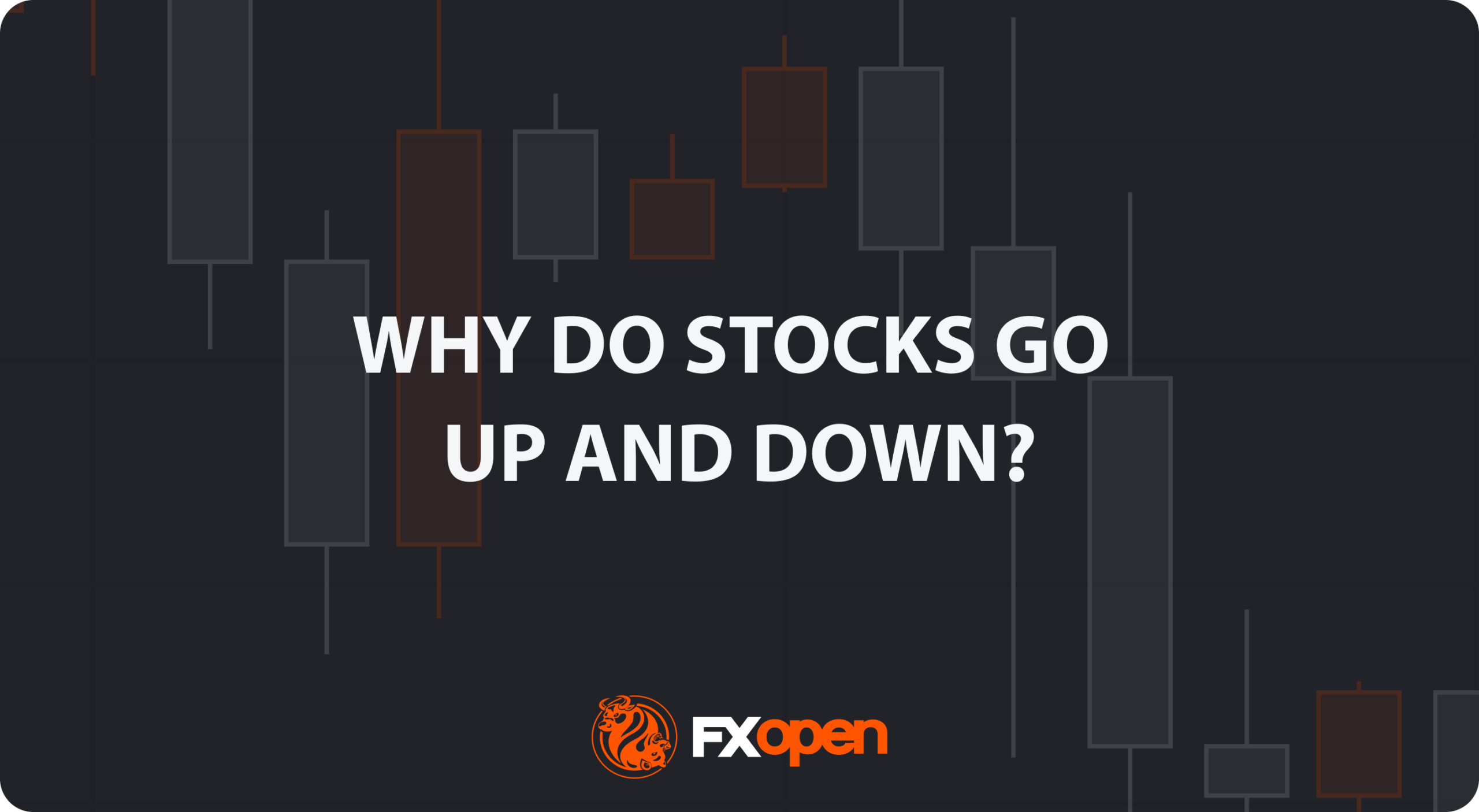 Why Do Stocks Go Up and Down?