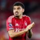 Nottingham Forest Europa League fixtures, results, squad