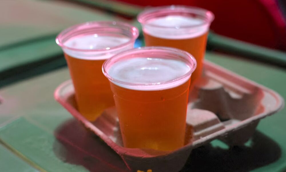 Pint of Beer Cost at Every Stadium