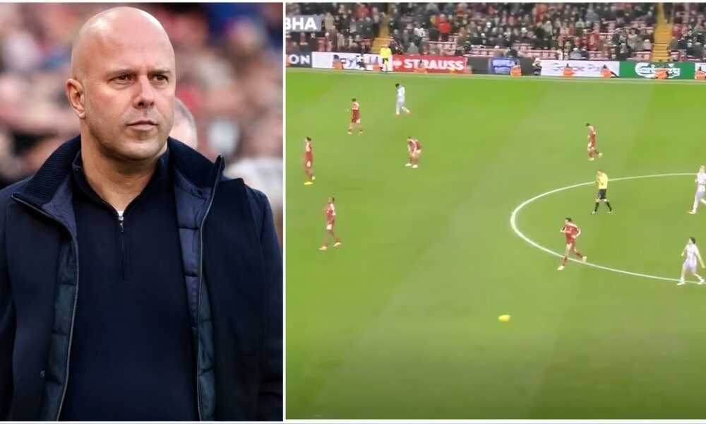 Officials Got Big Decision Wrong in Liverpool v Brighton