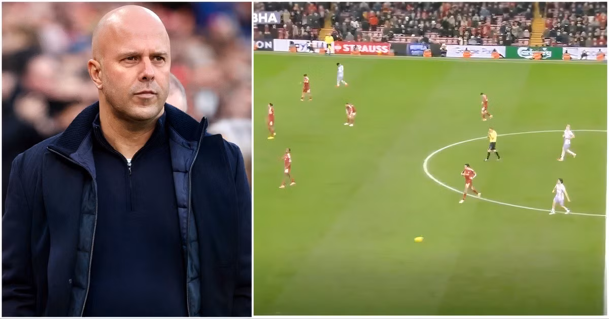 Officials Got Big Decision Wrong in Liverpool v Brighton